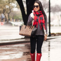 Red, Leopard and Stripes