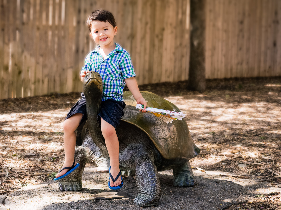cute & little | family dallas zoo | mom blogger