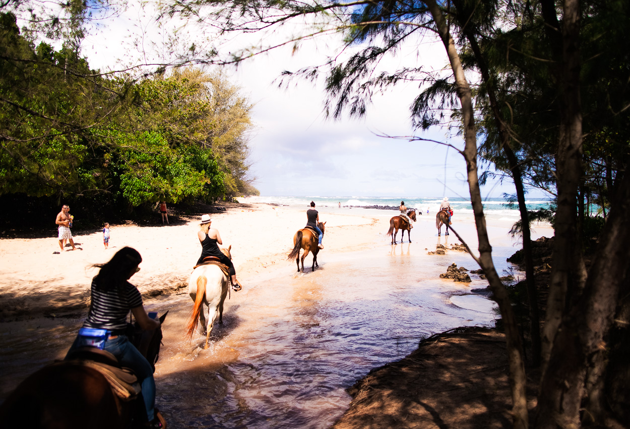 Kauai Traveling Tips: Horseback Riding with CJM Stables by Dallas blogger Kileen of cute & little