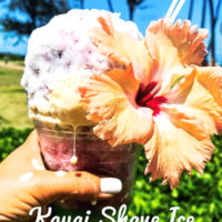 Best of Kauai Shave Ice: A Complete Guide