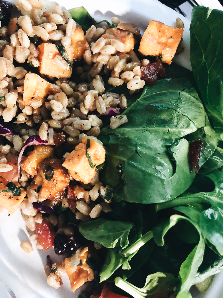 cute & little | dallas fitness lifestyle blog | piada harvest grain salad