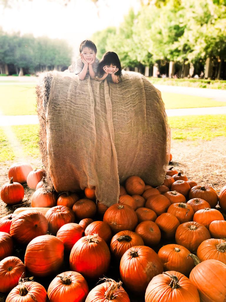 northpark centerpark pumpkin patch | Family photo op | dallas mom lifestyle blog | The Best Pumpkin Patches in Dallas featured by top Dallas blogger Cute & Little