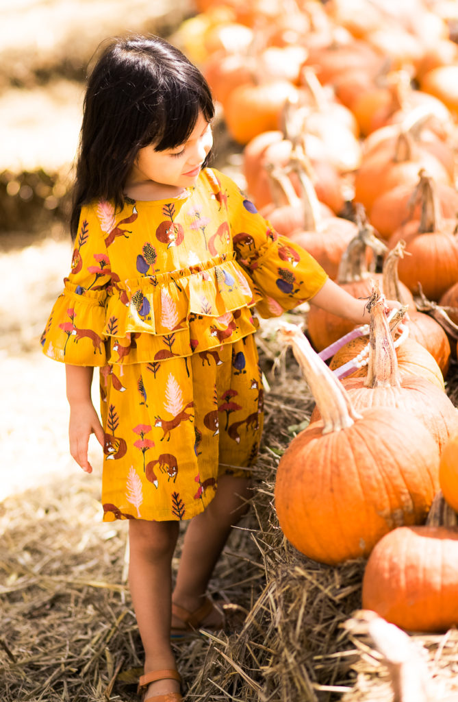 dallas arboretum pumpkin village | Family photo op | dallas mom lifestyle blog | The Best Pumpkin Patches in Dallas featured by top Dallas blogger Cute & Little