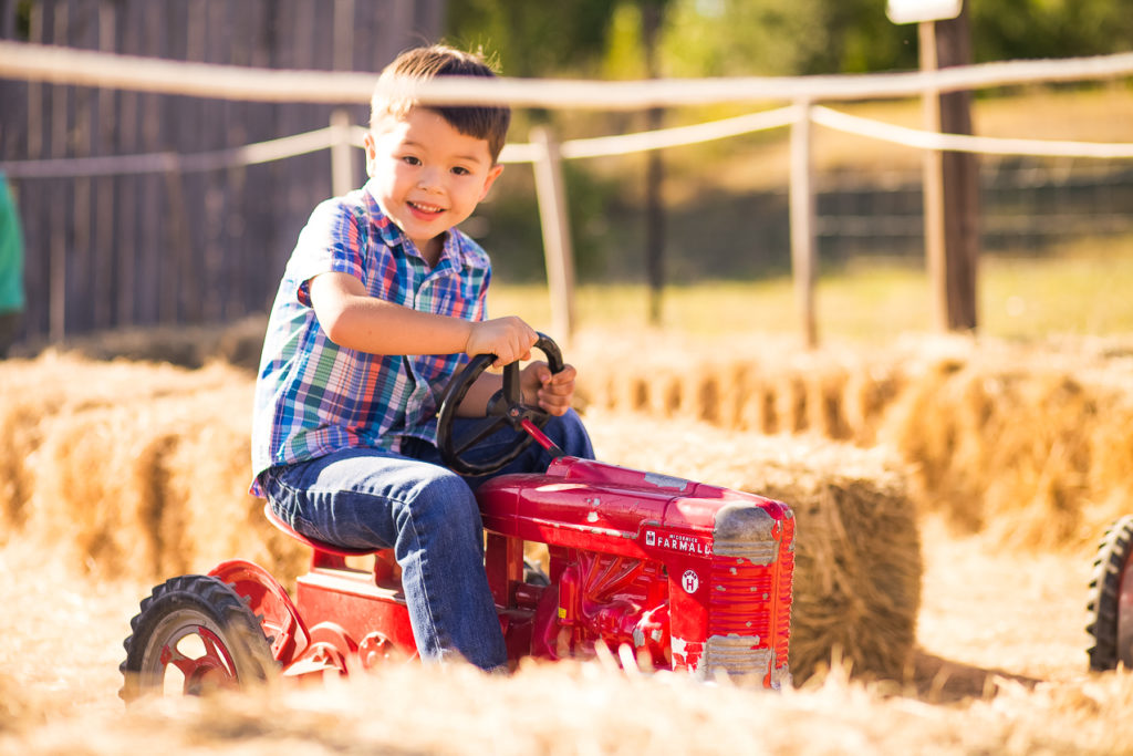 hall's pumpkin farm and corn maze | Family photo op | dallas mom lifestyle blog | The Best Pumpkin Patches in Dallas featured by top Dallas blogger Cute & Little