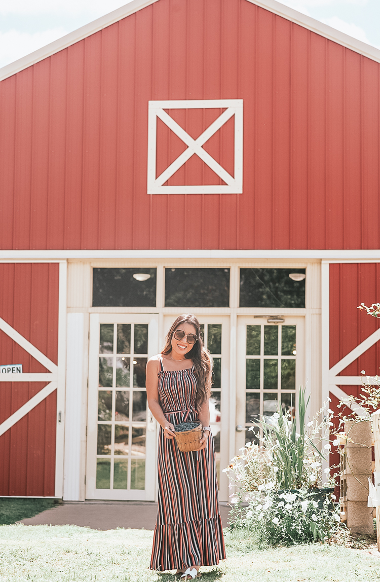 Blueberry Hill Farms featured by top Dallas blog Cute & Little; Image of a woman wearing a striped Target dress.