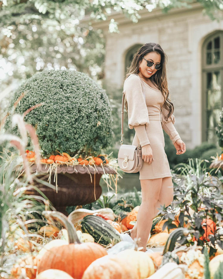 cute & little | popular dallas fashion blog | ray-ban clubmaster tortoise aviator sunglasses kohl's | shein balloon sleeve belted sweater dress | chloe small tess shoulder bag, j.crew leopard white sneakers | fall transition outfit |  Iconic Classic Style In Ray Ban Sunglasses by popular Dallas petite fashion blog, Cute and Little: image of a woman standing outside by a pile of pumpkins and wearing a pair of Kohls Ray-Ban RB3016 Clubmaster Classic 51mm Square Polarized Sunglasses, SHEIN SHEIN Bishop Sleeve Belted Sweater Dress, and J. Crew Saturday sneakers with leopard calf hair detail.