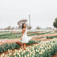 A Weekend Road Trip to the Tulip Farm