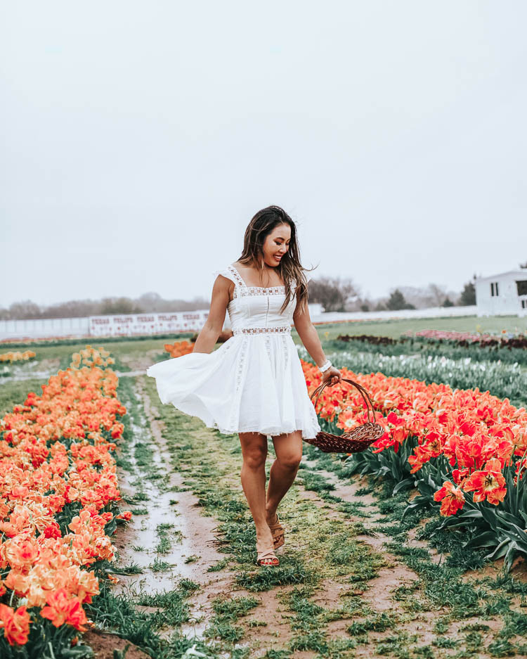 cute & little | dallas family fashion blog | free people verona white dress | texas tulips farm | Tulip Farm by popular Dallas lifestyle blog, Cute and Little: image of a woman standing next to a row of yellow tulips at the Texas Tulip Farm and wearing a Free People 'Verona', Marc Fisher 'Arena' sandals, and Baublebar Lady Button stud earrings.