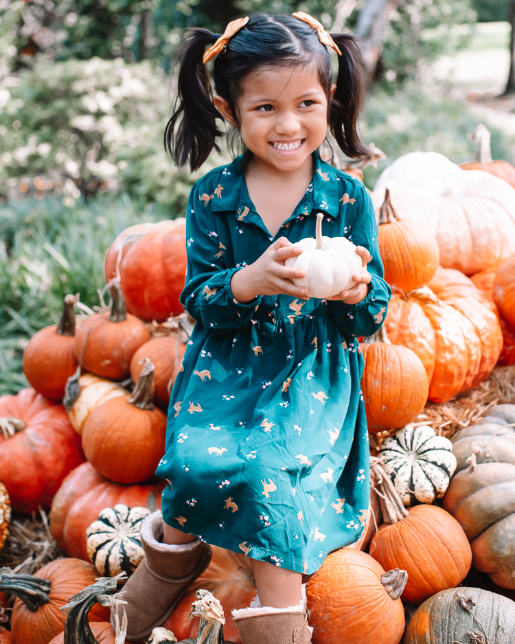 cute & little | dallas fashion blogger | fall coordinating family photo outfit ideas | dallas arboretum pumpkin patch village |Family Outfits by popular Dallas petite fashion blog, Cute and Little: image of a girl sitting in a pile of pumpkins and wearing a pair of BEARPAW Kids' Rosie Fashion Bootgreen fox print dress. 