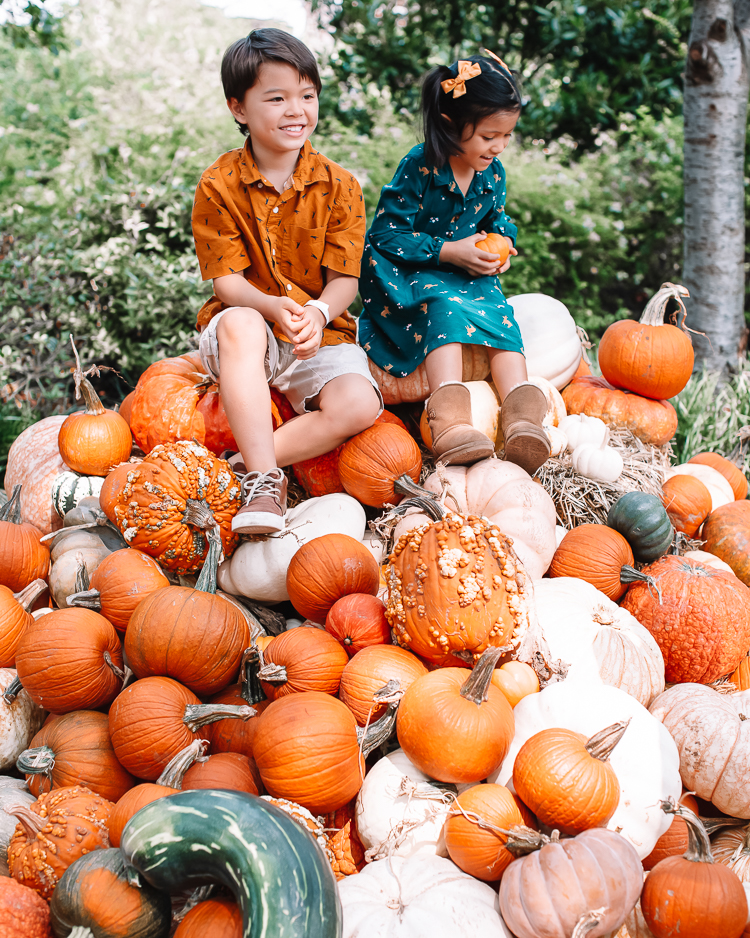 cute & little | dallas fashion blogger | fall coordinating family photo outfit ideas | dallas arboretum pumpkin patch village |Family Outfits by popular Dallas petite fashion blog, Cute and Little: image of a young boy and girl sitting in a pile of pumpkins and wearing a orange button up, brown fabric sneakers, BEARPAW Kids' Rosie Fashion Boot,The Children's Place Boys Pull-on Cargo Shorts, and green fox print dress. 