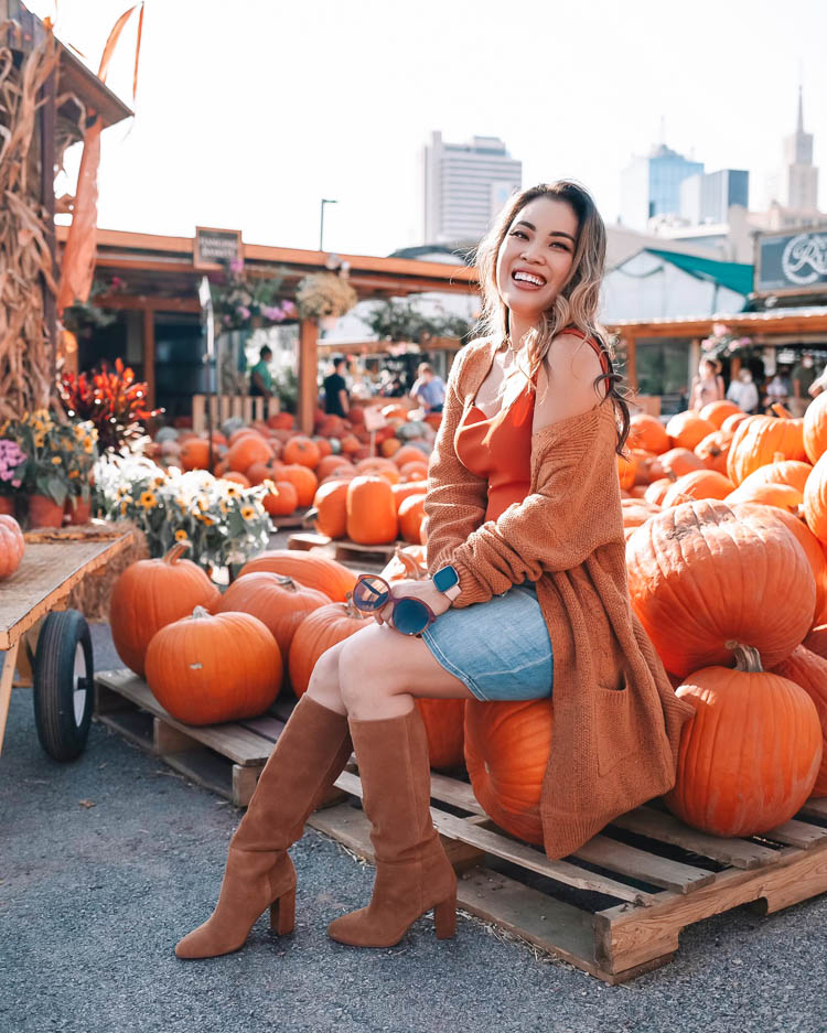 cute & little | dallas petite fashion blog | amazon chunky long cardigan, bodysuit, jen7 denim skirt, chinese laundry krafty brown suede knee high boots | dallas downtown pumpkin patch |Fall Clothing by popular Dallas petite fashion blog, Cute and Little: image of a woman visiting a pumpkin patch and wearing a Express bodysuit, Amazon futurino Women's Cable Twist School Wear Boyfriend Pocket Open Front Cardigan, JEN7 by 7 For All Mankind Denim Pencil Skirt with Belt, Zappos Chinese Laundry Krafty knee high boots, Amazon SiMYEER Small Crossbody Bags Shoulder Bag, and Sequin FIGARO LINK CHAIN BRACELET.
