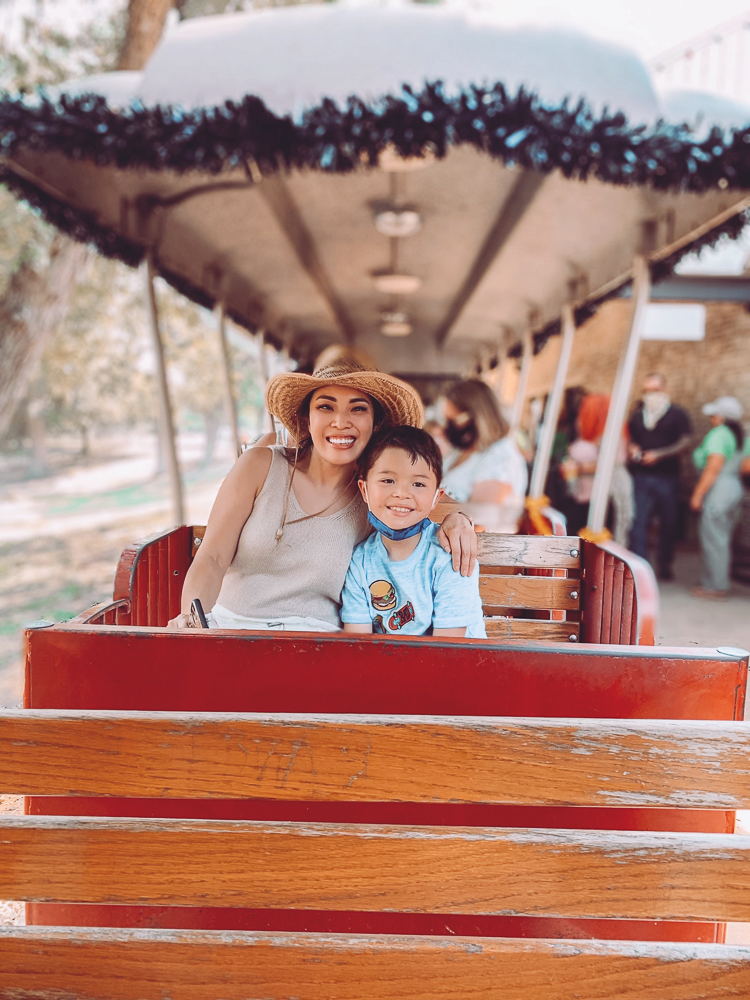San Antonio Vacation by popular Dallas travel blog, Cute and Little: image of a mom and her son riding a train at the San Antonio zoo. 